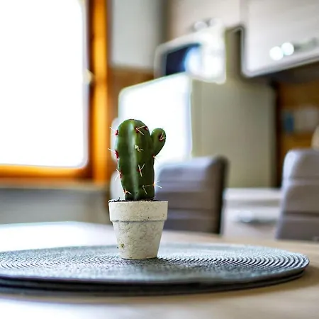 Apartment Casa Zoe Free Parking,self Check In & Free Wi Fi *